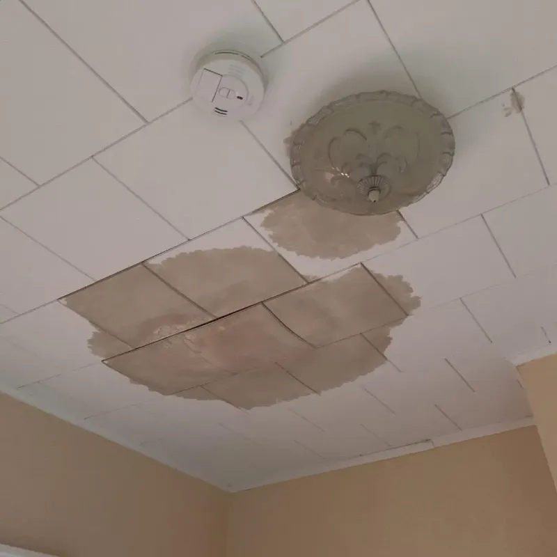 Ceiling Water Damage Repair in Curtice, OH